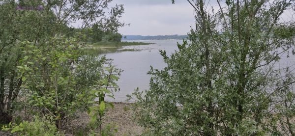 Seeblick
Schlüsselwörter: Möhnesee