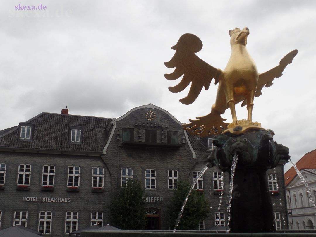 20200827_DE-Harz_Goslar_x-20_SAM_0223_Goldener-Adler
