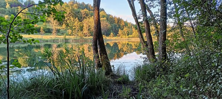 Bassgeigensee
 Der schöne kleine See liegt zwischen Keutschacher See und Rauschelesee. Wegen seiner kalten Zuflüsse und relativ starker Durchströmung erwärmt er sich im Sommer nur wenig und zählt nicht wirklich zu den Badeseen. Man kann auch nur an wenigen Stellen ans Ufer bzw. in Ufernähe, aber dort gibt es manchmal malerische Blicke auf den See ! [ IMG20220810193804_kaernten_bassgeigensee-3_fc ]

Schlüsselwörter: Bassgeigensee, 2022