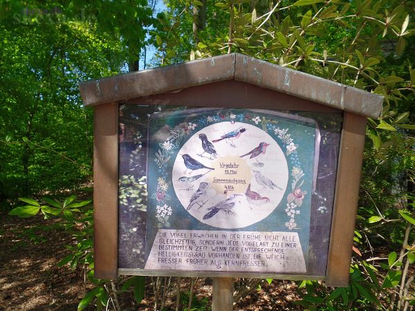 Vogeluhr beim Auge-Gottes an der Landesgrenze NRW Rheinland-Pfalz
2020 [20200423-Vogeluhr-bei-Auge-Gottes_Landesgrenze-NRW-Rhld-Pf_SAM_0104]
Schlüsselwörter: Radtour;2020;Vogeluhr