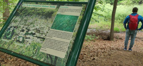 Wahner Heide Kronenweiher (Fliegenberg)
seit 1914 unter Naturschutz
