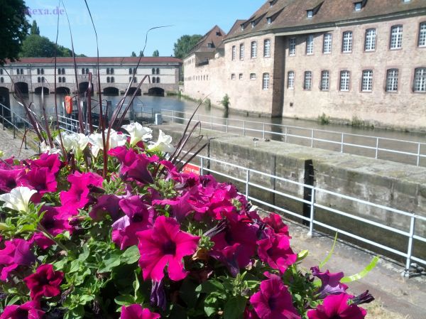 Straßburg (Frankreich) - Barrage Vauban 
2014 Tour Schwanau
