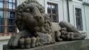 20160526_1526_Weimar-Schloss-Loewe.jpg