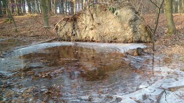 Winterimpression Wahner-Heide Rösrath-Hasbach
2017 [20170122_144351-Wahner-Heide-Hasbach.jpg]
