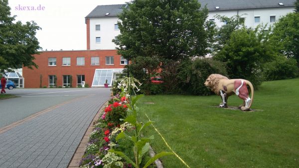 Löwe vor Frankenklinik
2019 - Bad Steben
