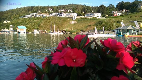 2018 - Villenhang in Reifnitz am Wörthersee
Nicht alle sind von solchen Hangwuchs erbaut
Schlüsselwörter: Austria;20